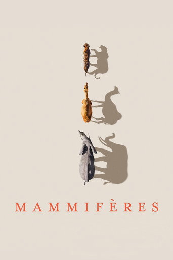 Mammifères — affiche alternative
