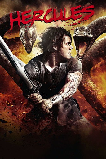 Poster 5