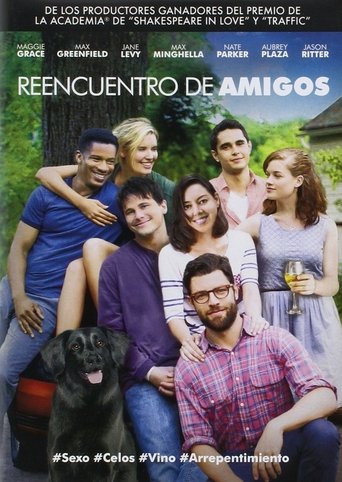 Poster of Reencuentro de amigos