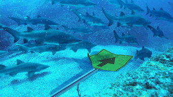 #4 Super Shark Highway
