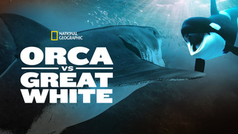 #4 Orca vs. Great White