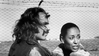 Super Fly T.N.T. (1973)