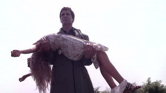 Cock Crows at Eleven (1978)