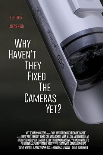 Poster of Why Haven't They Fixed the Cameras Yet?