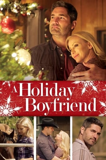 Poster för A Holiday Boyfriend