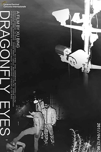Dragonfly Eyes (2017) Dragonfly Eyes (2017)