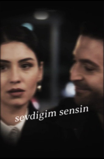 Sevdiğim Sensin — Pósters 22