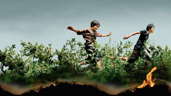 Galeria 4 - Monstruo