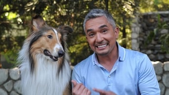 Dog Whisperer with Cesar Millan (2004-2012)