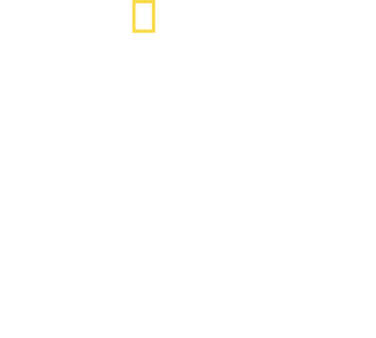 Shark vs. Surfer logo