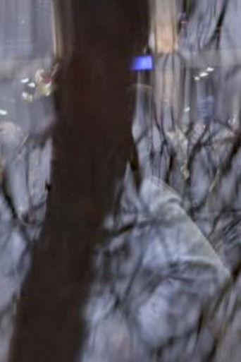 Crossing Paths poster