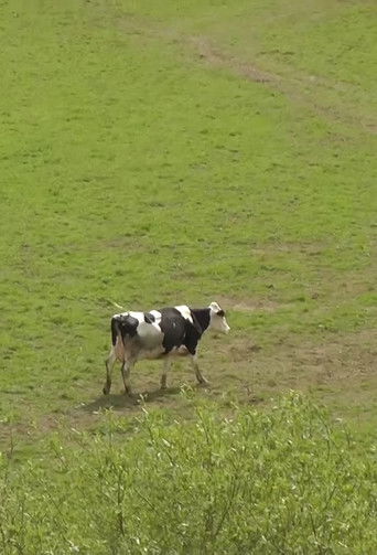 Envoyez les blindes poster