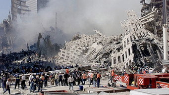 9/11: After the Towers Fell (2010)