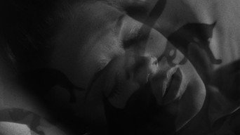 #27 Cat People