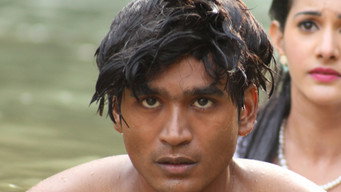 #15 Anegan