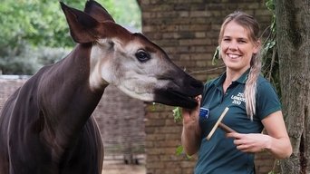 London Zoo: An Extraordinary Year - S1E01