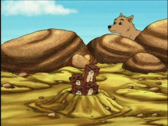 Panchita Prairie Dog Finds a New Prairie