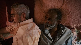 Linger media image