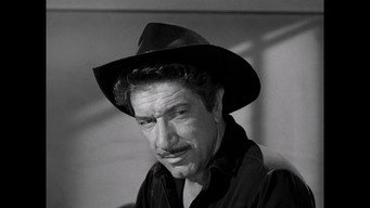 Have Gun, Will Travel T4E9