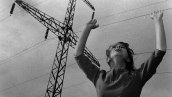 Квітка на камені (1962)