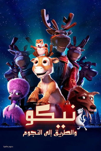نيكو والطريق إلى النجوم