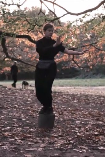 Lakes of Anima: Light to Darkness poster