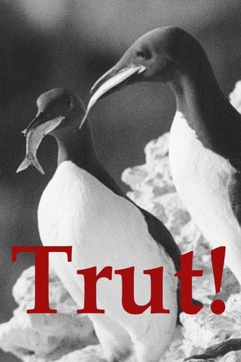 Poster of Trut!
