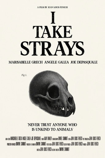 Cartell de I TAKE STRAYS
