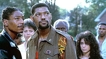 #18 School Daze