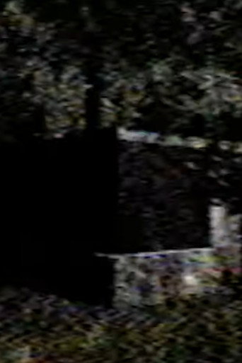 0.mp4 galeri 2