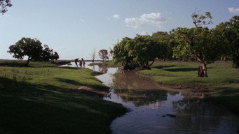 #51 Walkabout