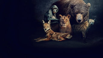#5 Queens