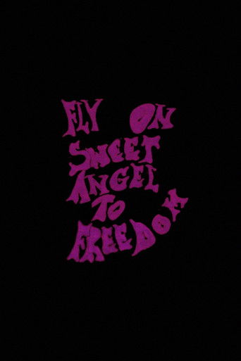 Jimi Could Have Fallen from the Sky poster 3