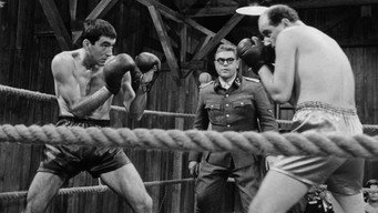 #6 The Boxer and Death