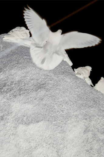 Despair to be Reborn poster