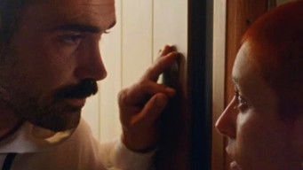 Galeria 4 - 21 paraíso