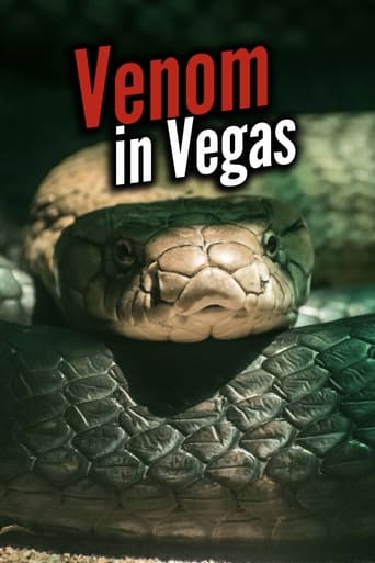 Poster of Venom In Vegas