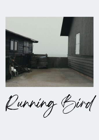 Running Bird — Pôsteres 4