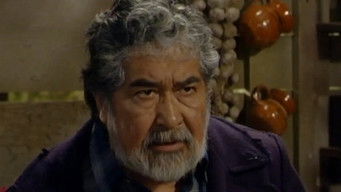 Episode 31 — Episode 31