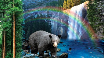 Yosemite: America's Treasure (2020)