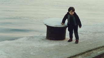 Пейзаж у тумані (1988)