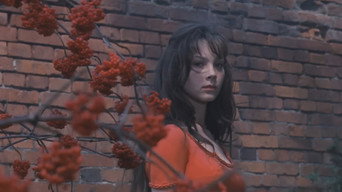Мій ласкавий і ніжний звір (1978)