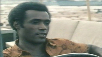 The African Deal (1973)