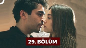 Episódio Episódio 29 da série O Canto do Pássaro