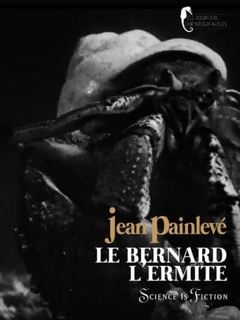 Poster för Bernard-l'hermite