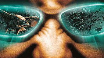 Galeria 1 - Guardianes del día