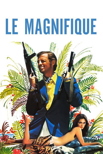Le Magnifique