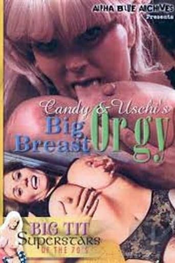 Poster of Big Breast Orgy