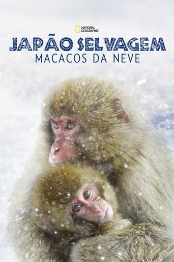 Wild Japan: Snow Monkeys