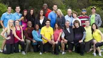 #8 The Amazing Race